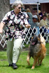 In regular classes at the National, Libbye and Buzz go around the ring (May 2004).