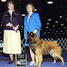 Kennel Club of Columbus Indiana (March 1998).