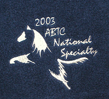 Blue Fleece Vest with White Logo