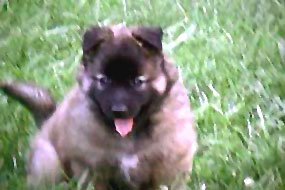 Tango: Day 37